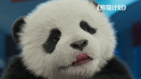 91毛片视频